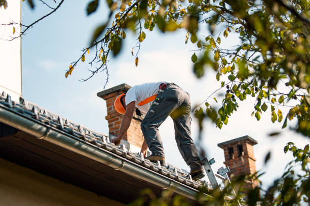 Best Roof Gutter Cleaning  in Wellsville, KS