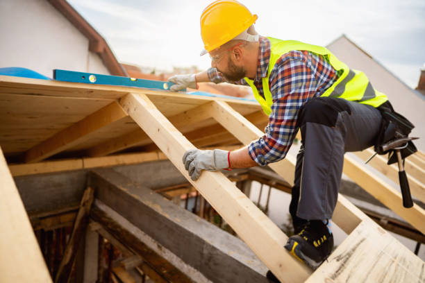 Best Roof Gutter Cleaning  in Wellsville, KS